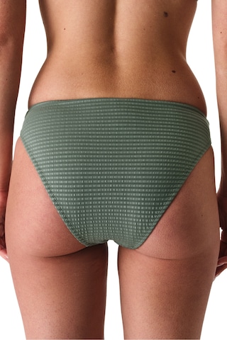 Penti Koyu Yeşil Rana Green High Leg Slip Bikini Altı