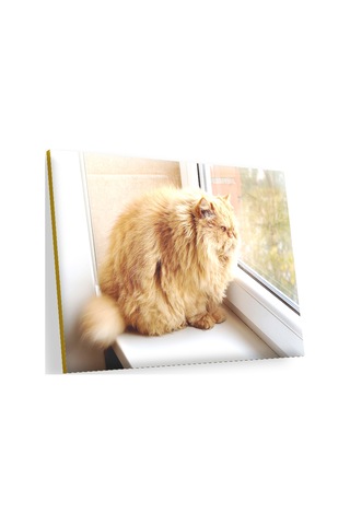 Cakasepetim Pencerede Şişman Kedi Ahşap Mdf Tablo