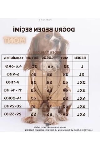 2as 3xl Boyutunda Vizon Renkli Yağmurluk Mont, Köpekler İçin 142335