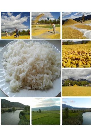 Meşhur Kargı Pirinci 25 KG