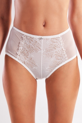 Golshan Gaspara Control Slip, Kadın Güpürlü Tül Ekru Renkyüksek Bel Külot Çok Renkli