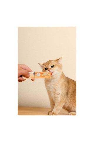 4 Adet 15 Gr Yengeçli Kedi Ödülü