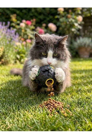 Sesli Kedi Köpek Ödül Maması Bulma Topu Zeka Topu - Siyah Renk