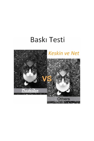 Goink GI-41 Siyah Mürekkep Canon G2420 Uyumlu 500 ml