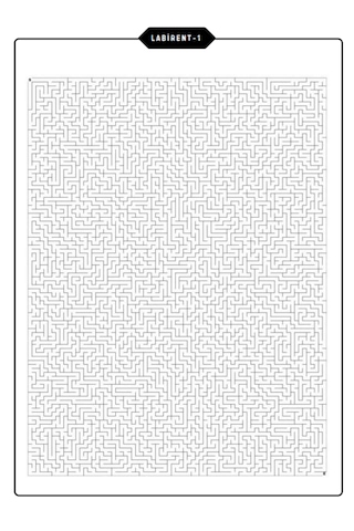 Yetişkinler İçin Çok Zor Labirent Bulmaca Kitap Seti 3 Kitap 100