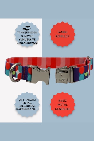 Caramelos İsimli Köpek Tasması, Köpek Künyesi, Köpek İsimlik 160 Çok Renkli