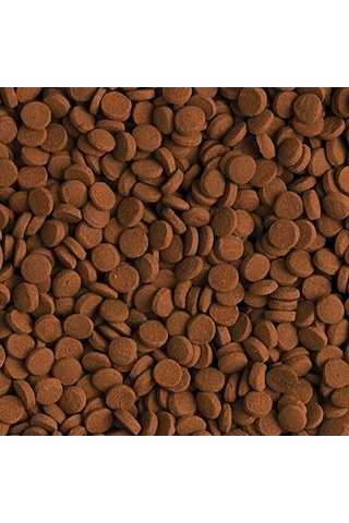 Tropical Carnivore Küçük Tablet Balık Yemi 1 KG