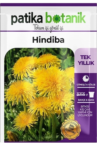 500 Adet Hindiba Tohumu