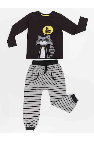 Denokids Rakun Erkek Çocuk T-shirt Pantolon Takım