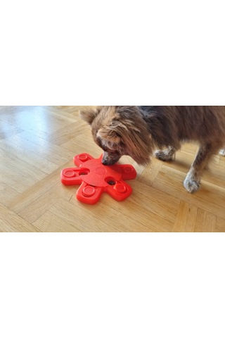 Storeşahin 3d Baskı Ödül Mamalı Köpek Ve Kedi Zeka Oyuncağı Akıllı Ödül Puzzle Kırmızı Shn0720