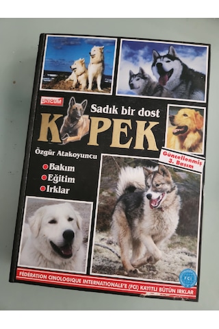 Sadık Bir Dost