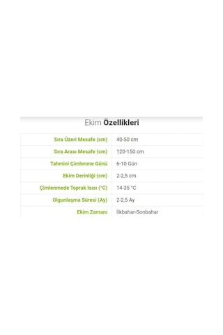 Tohumculuk Hıyar Beith Alpha Salatalık Tohumu 5 Gr Ata Tohum