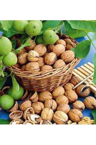 Tiresepeti Doğal Chandler İnce Kabuklu Yerli Ceviz Yeni Mahsül 1 KG