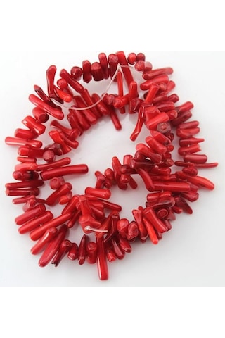 Ince Dal Mercan Dizi Altın