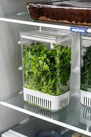 Tr Saklama Kabı - Uzun Süre Taze Tutma Herb Keeper Sebze Saklama Kabı Diğer