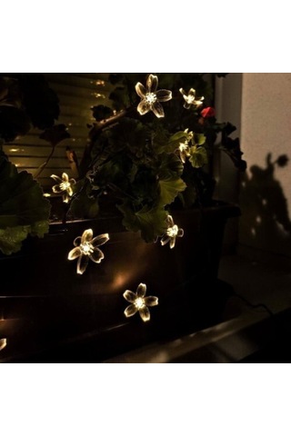 Solar 5m 50 Led Papatya Gün Işığı 8 Fonksiyonlu Siyah