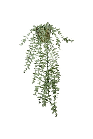 Yapay Çiçek Elmas Gold Saksıda Pastel Yeşili Okaliptus Sarkıtı Yeşil