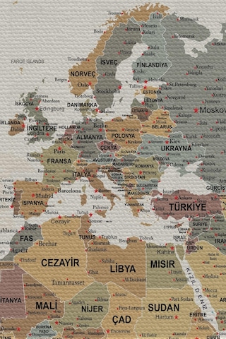 Duvar Örtüsü / Halısı Detaylı Güncel Türkçe Pastel Dünya Haritası -3980