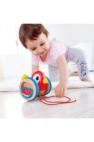 Hape Çek Çek Kuş
