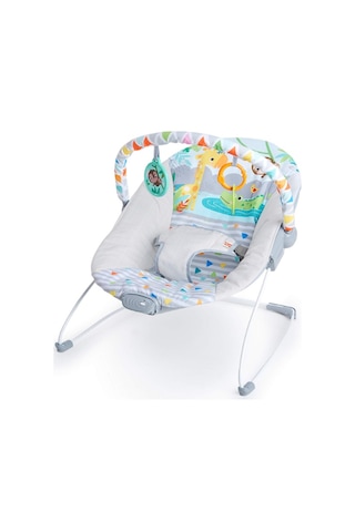 Bright Starts Bebek Salıncağı, Rahatlatıcı Titreşimli Bebek Ana Kucağı
