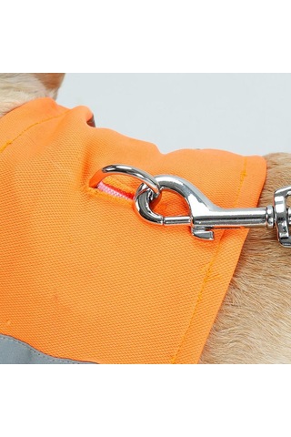 Homyl Pet Köpek Kedi Yansıtıcı Yaka Yavru Emniyet Boyun Askısı Turuncu