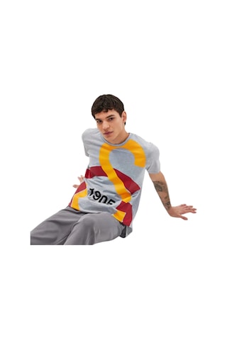 Gsstore Galatasaray Büyük Logolu Tee Gri T-shirt Gri