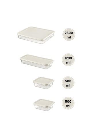 Flora 4 Lü Dondurucu Saklama Kabı Seti, Buzdolabı Difriz Erzak Gıda Düzenleyici Set 2600,1200,500,500ml Şeffaf