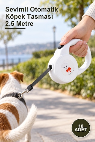 10 Adet Sevimli Otomatik Köpek Tasması 2.5 Metre
