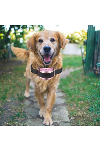 Suntek Köpek Çağrı Tasması Karşıtı Eğitim 7 Pembe