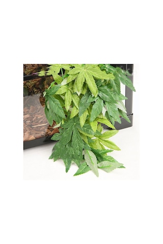 Sones Tırmanma Evcil Hayvan Kutuları Akvaryum Balık Tankı Peyzaj Simülasyon Tesisi, Stil: T007 20 İnç