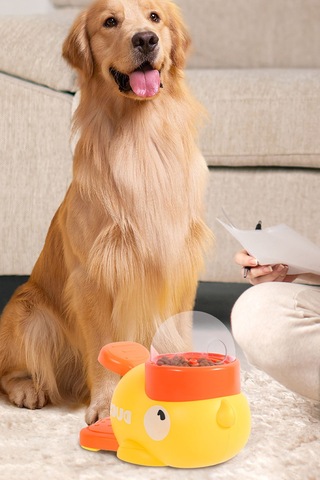 Kedi Köpek Eğitici Öğretici Mama Hazneni Yeni Nesil Oyuncak Köpek Zihin Geliştirici Oyuncak