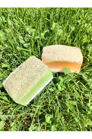 Doğal Kabak Lifli Ballı Eşek Sütlü  + Aloe Vera 2'li Sabun