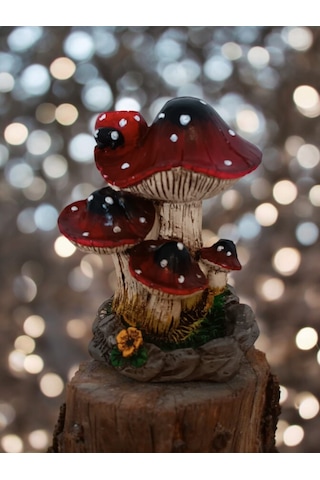 Uğur Böcekli Mantar Tütsülük