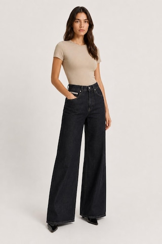 Alexandergardi Wide Leg Denim Pantolon Siyah