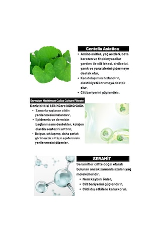 Dermal Cica x Mide Centella Asiatica ve Seramid Özlü Eye Cream Göz Çevresi Kremi 40 G