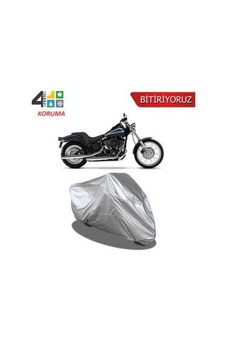 Harley-Davidson Softail Night Train Fxstbı Motosiklet Brandası