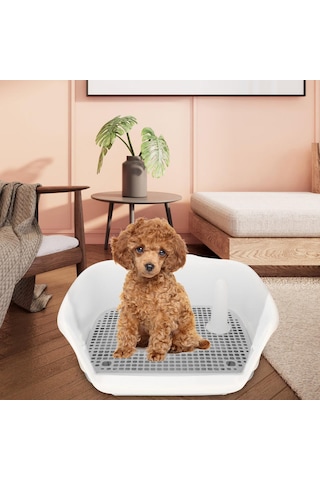 Homyl Kapalı Köpek Lazımlık Tepsisi Küçük Ve Beyaz-gri