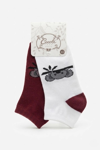 Cocole Socks Çocuk Patik Çorabı 2 Li Set Pamuklu Beyaz & Bordo Koala Desenli Çok Renkli