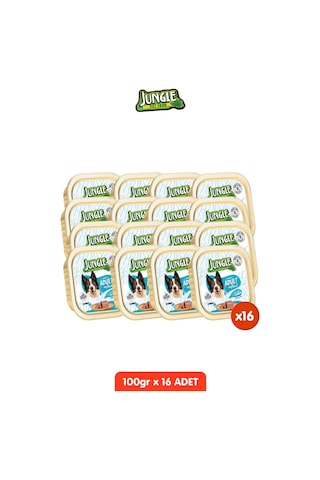16 Adet Tahılsız Somonlu Köpek Yaş Maması Seti - 100gr X 16 Pate Alucup