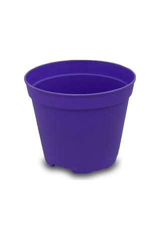 Katı Plastik Sukulent Saksısı 15 Adet Koyu Mor 5.5 Cm
