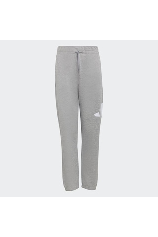 Adidas Jv9915 J Bl Ft Pt 280 Çocuk Eşofman Altı Gri