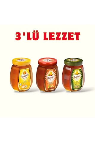 Balarısı Kestane + Çiçek + Çam Balı 3 x 750 G