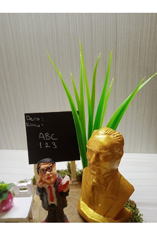 Kütük Teraryum-Erkek