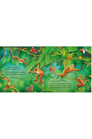 Pop-Up Animals - Anna Milbourne - Usborne