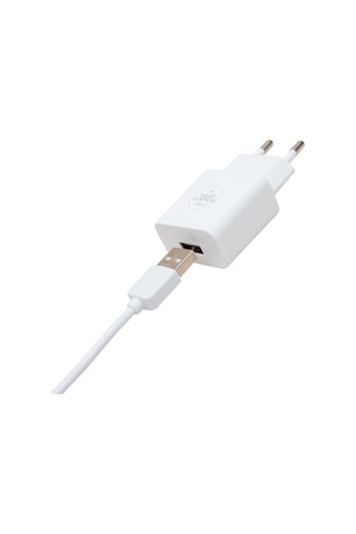 Powerway 5 Volt 2.1 Amper Type C Şarj Aleti - Kablo X-101