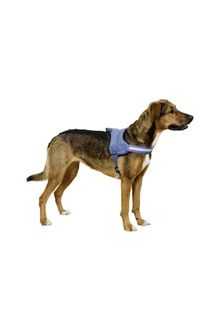 Belden Köpek Tasması Maestro 2.0 XXL 83-113 cm x 38 mm Mavi