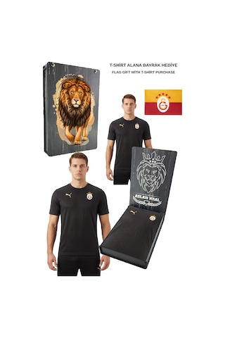 Gsstore Galatasaray Lisanslı Sıfır Yaka Siyah A Takım Antrenman T-shirt Bayrak Ve Uv Kutulu Hediyelik Kutu Siyah - Antrasit