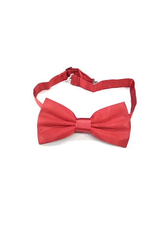 Saten Kumaş Kırmızı Çocuk Papyonu