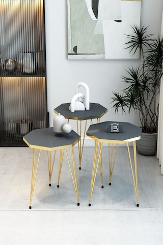 3'lü Sekizgen Zigon Sehpa Ve Dikdörtgen Orta Sehpa Takımı Modern Gold Metal Ayaklı Salon Sehpa Seti Antrasit