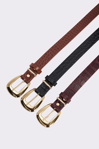 Tudors Kadın Gold Tokalı 2.5 Cm 3'lü Set Siyah-bordo-kahverengi Kemer-51494 Çok Renkli